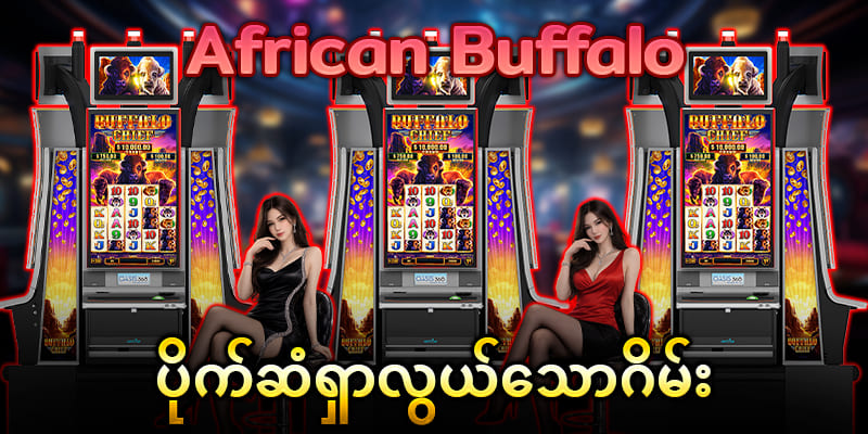african buffalo slot