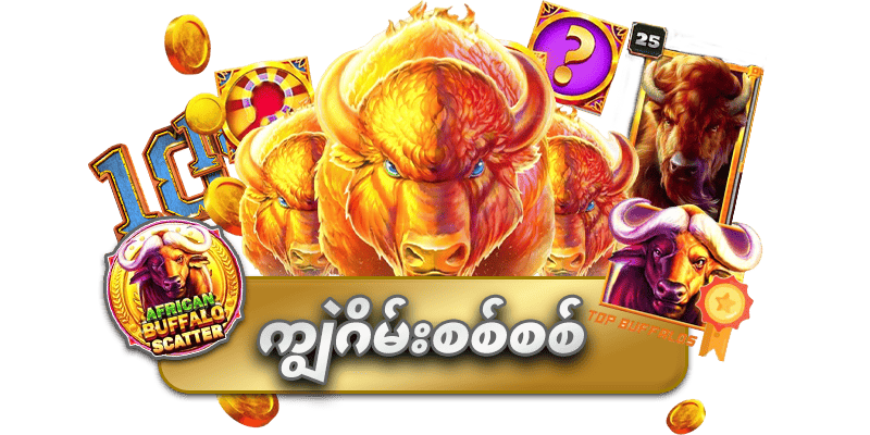 ကျွဲ